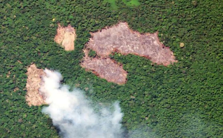 Pay to protect: Brazil pitches new forest fund at COP30