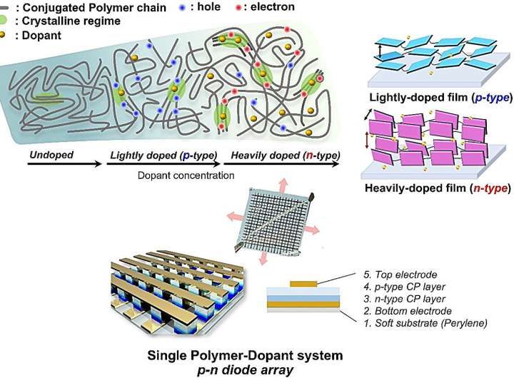 Concentration‑controlled doping turns a p‑type polymer semiconductor into its n‑type counterpart