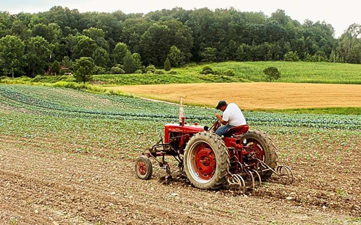 Eco-friendly agriculture practices may be easier than farmers think