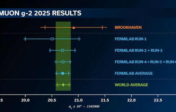 Final experimental result for the muon still challenges theorists