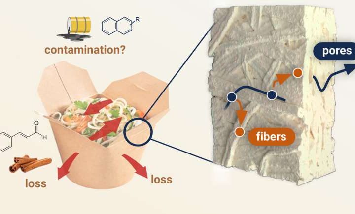 AI combines physics and lab data to predict paper packaging’s permeability to volatile compounds