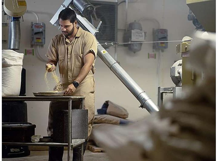 Key indicator signals nutrient distribution in chicken feed, researchers report