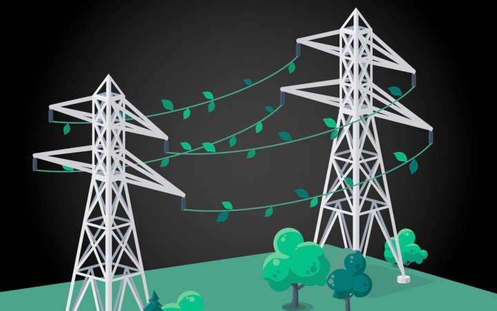 Nature’s resilience inspires an improved power grid