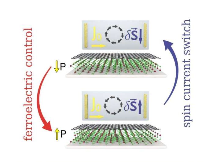 Electrical control of spin currents in graphene via ferroelectric switching achieved