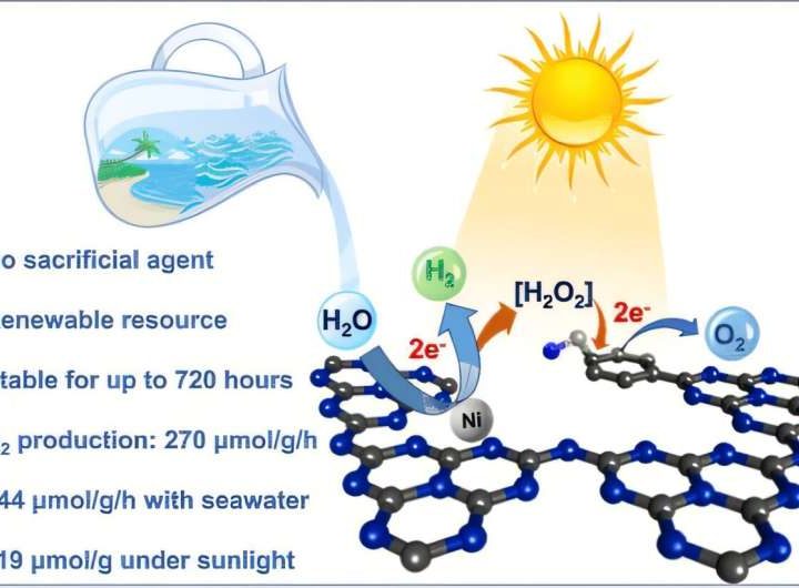 New pathways to green hydrogen use seawater without additional reagents