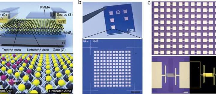 Scalable memtransistor arrays show potential for energy-efficient artificial neural networks
