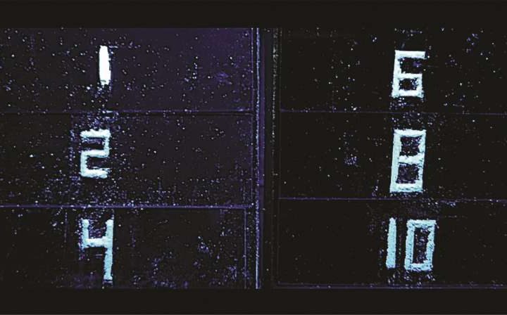 Green alternative for light-emitting materials in displays uses plant waste and amino acids