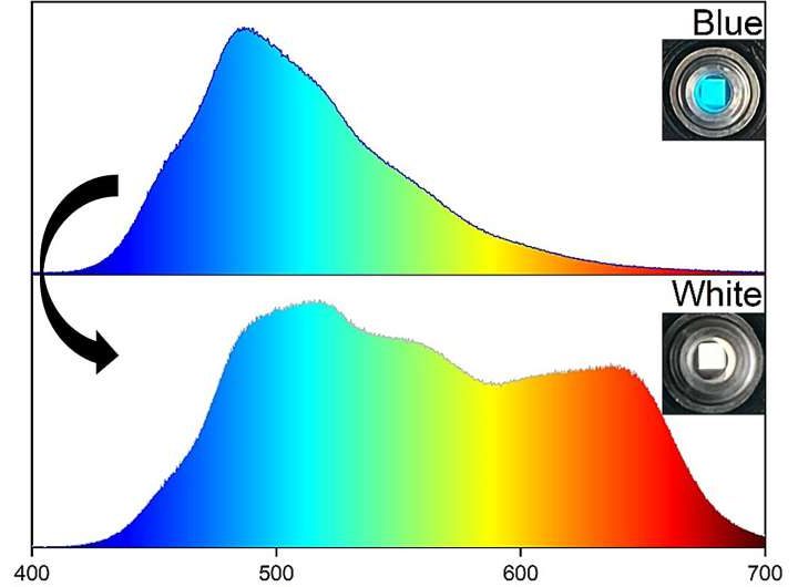 Single-emitter white OLEDs offer simpler, more sustainable lighting technology