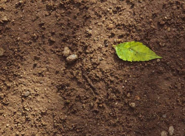 How soil could help us reach climate targets