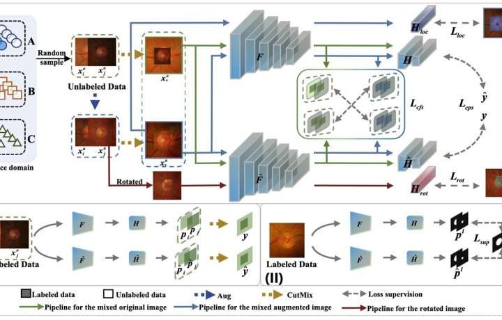 New training method helps AI models handle messy, varied medical image data