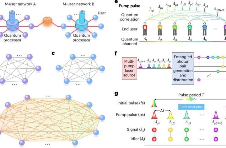 Two independent quantum networks successfully fused into one