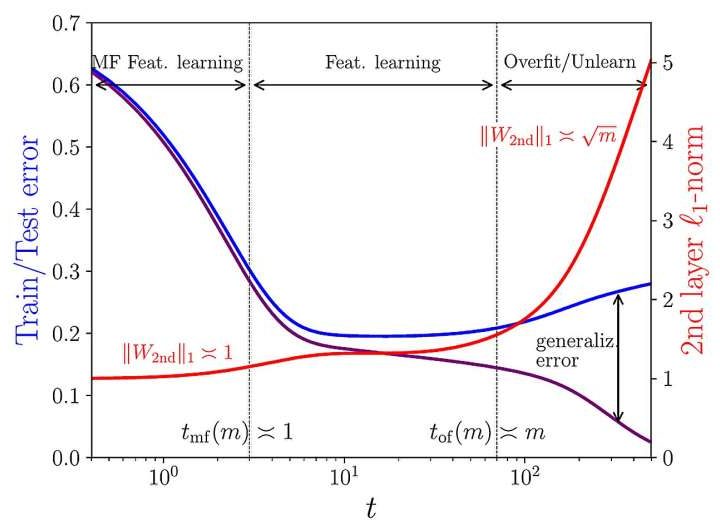 Overparameterized neural networks: Feature learning precedes overfitting, research finds