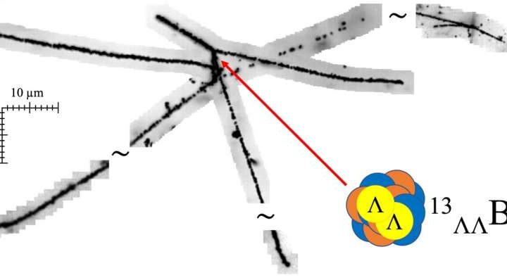 AI uncovers double-strangeness: A new double-Lambda hypernucleus
