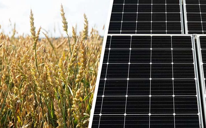 Dual use of land for solar energy production and cultivation found feasible in Finland
