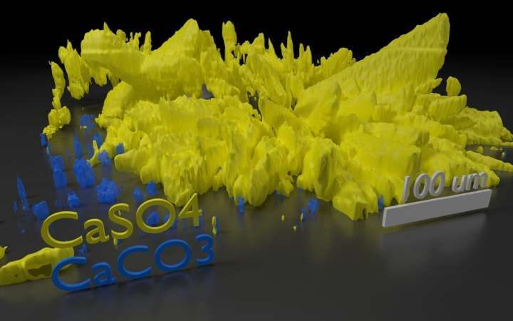 Engineers develop real-time membrane imaging for sustainable water filtration