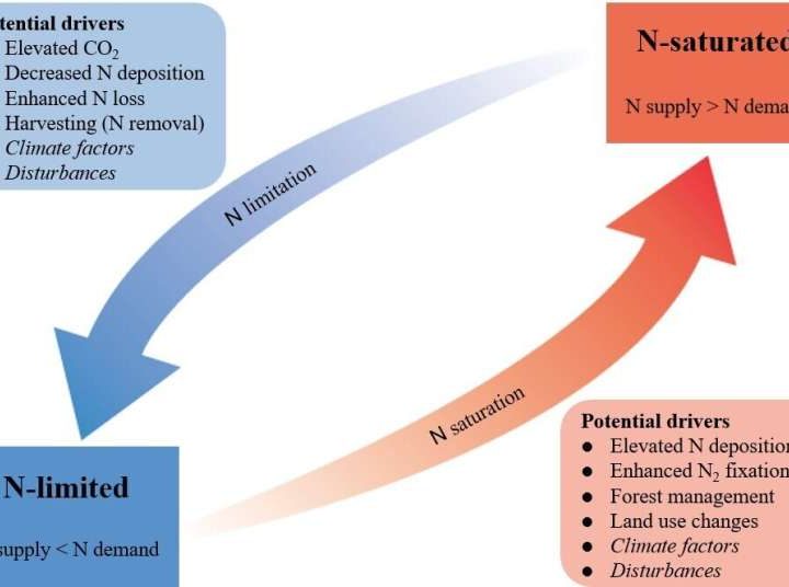 New framework offers structured approach to assess nitrogen status in forests