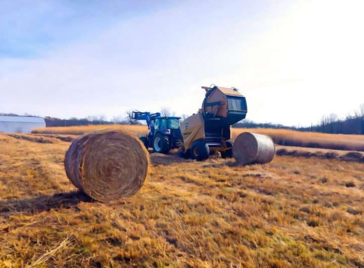 Uncovering harvest and nutrient strategies to boost bioenergy profits