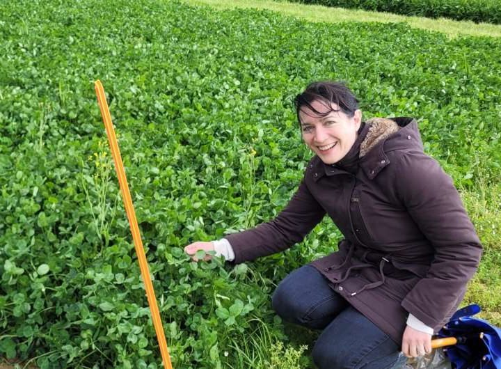 Increasing plant diversity in agricultural grasslands boosts yields, reducing reliance on fertilizer