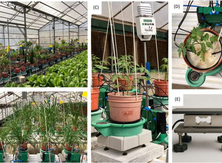 Machine learning offers growers a new tool for predicting crop water use
