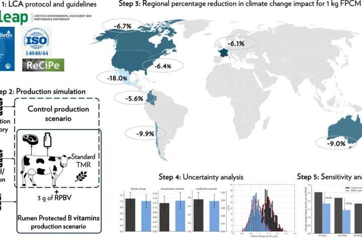 Microencapsulated B-vitamins help dairy cows produce more milk with fewer emissions