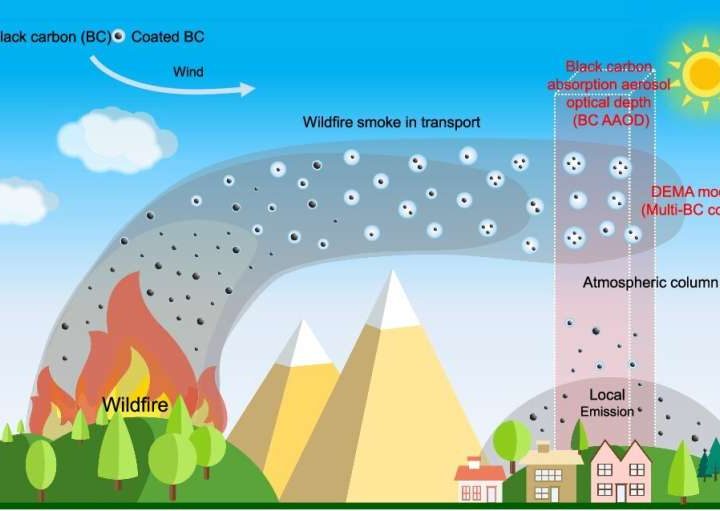 Multi-core black carbon particles found to boost light absorption in wildfire smoke