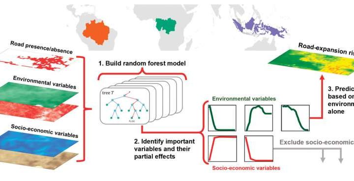 New tool predicts road expansion, deforestation and disease hotspots