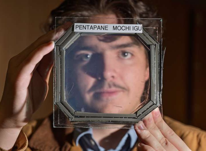 New window insulation blocks heat, but not your view