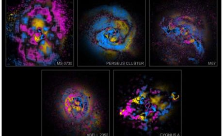 Painting galaxy clusters by numbers (and physics)