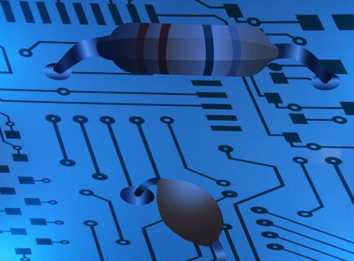 New materials could boost the energy efficiency of microelectronics