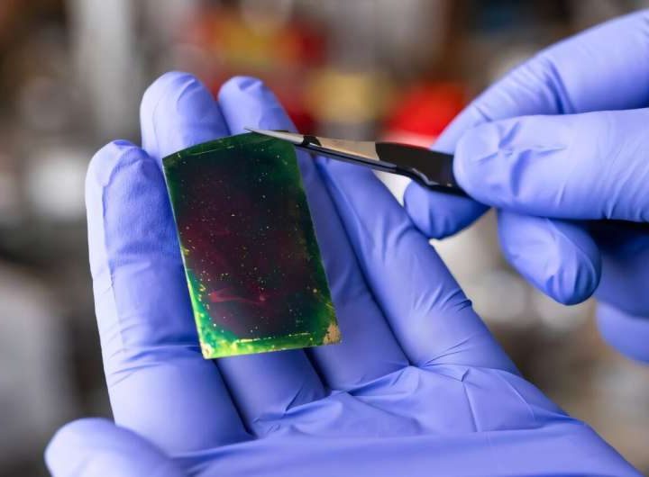 Engineers develop thin film to make AI chips faster and more energy efficient