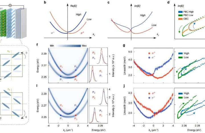Twisted light-matter systems unlock unusual topological phenomena