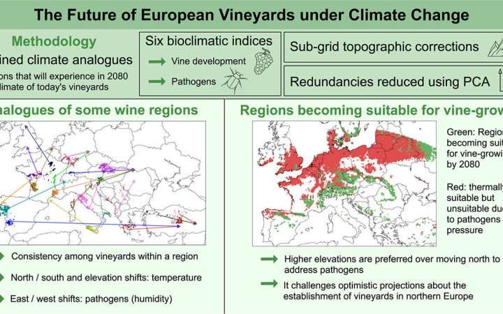 Mobile app forecasts future vineyard climates to help winegrowers adapt to change