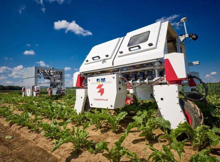 Researchers urge unified approach to sustainable agriculture innovation and policy reform