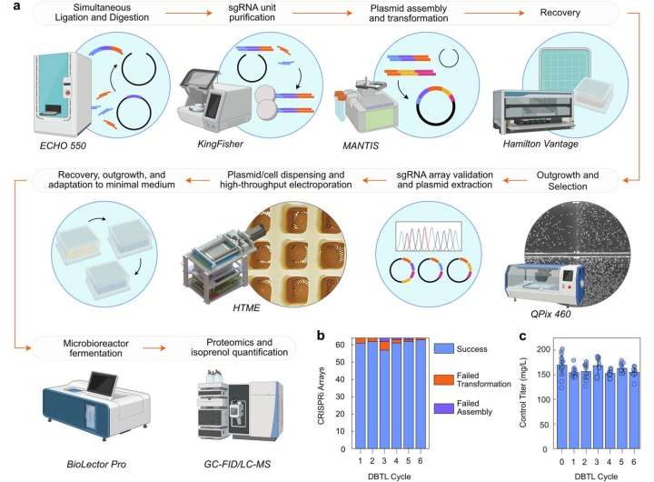 Speeding the path to synthetic jet fuel with AI, automation and biosensors