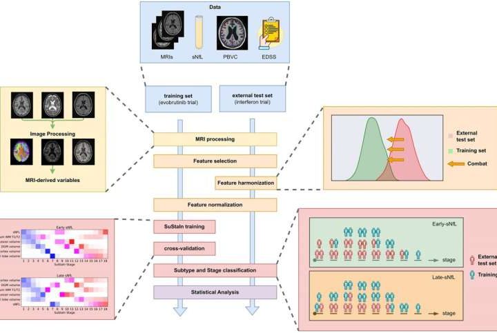 AI uncovers two distinct multiple sclerosis types