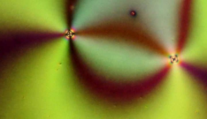 AI model accelerates defect-based material design