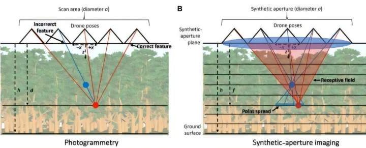 Drones with standard cameras reveal hidden forest layers using AI technology