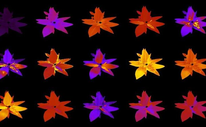 Empowering an AI foundation model to accelerate plant research