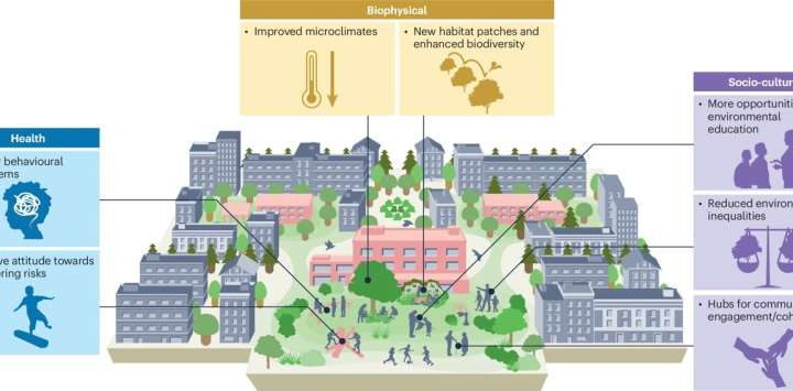 Greening school playgrounds can improve quality of life in cities and help deal with climate change
