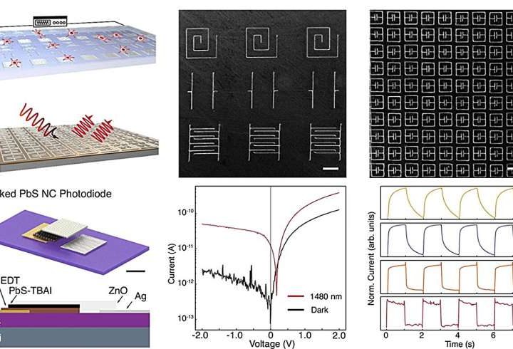 Engineers demonstrate smallest all-printed infrared photodetectors to date