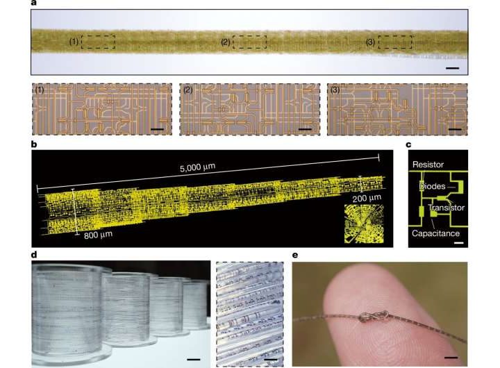 How sushi rolls inspired a flexible fiber chip as thin as a human hair