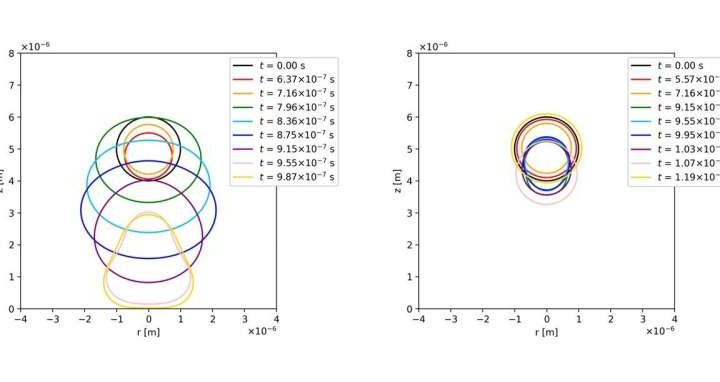 New model showcases microbubble behavior in viscoelastic fluid under ultrasound forcing