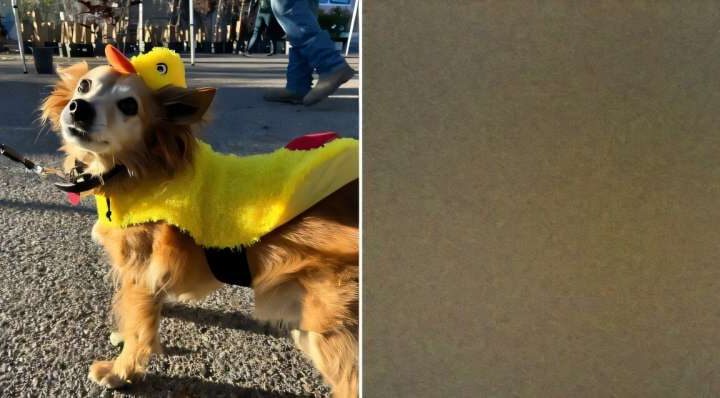 Discrete spatial diffusion models data while obeying scientific principles