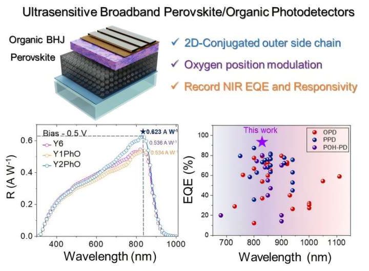 New study unveils ultra-high sensitivity broadband flexible photodetectors