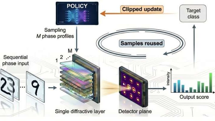 Reinforcement learning accelerates model-free training of optical AI systems