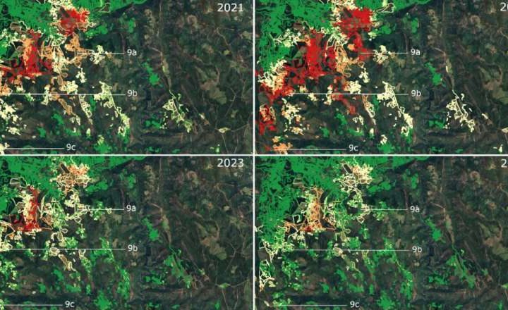 Remote sensing model enables early detection of vole outbreaks in Spanish farmlands