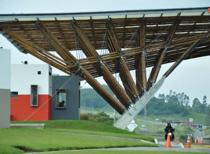 Researchers publish first ever structural engineering manual for bamboo