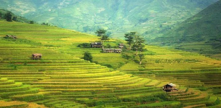 How mountain terraces have helped Indigenous peoples live with climate uncertainty