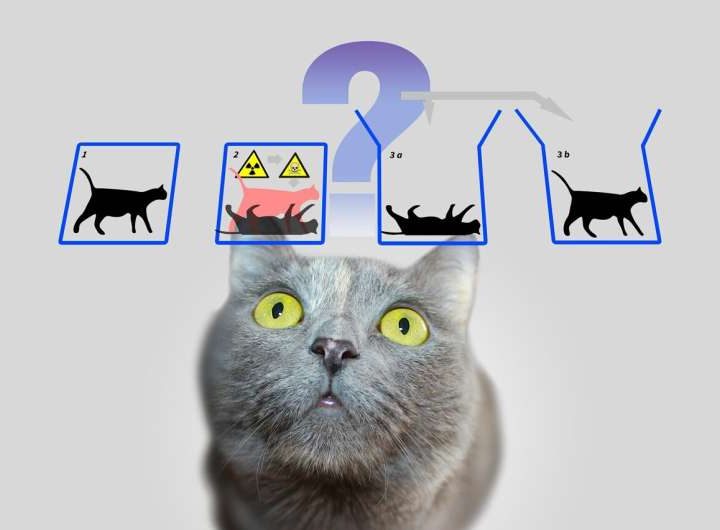 It started with a cat: How 100 years of quantum weirdness powers today’s tech