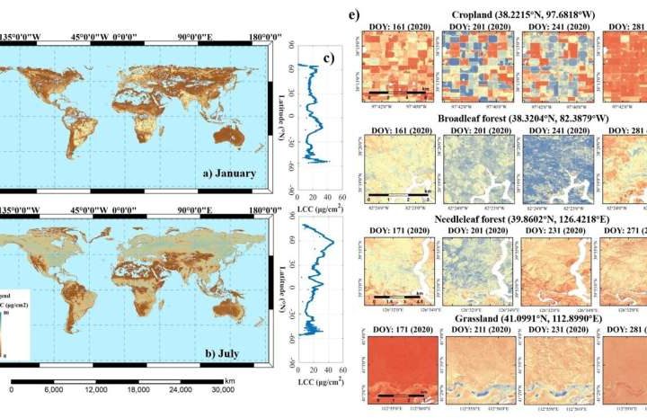 World’s first high-resolution global leaf chlorophyll map can closely track plant health